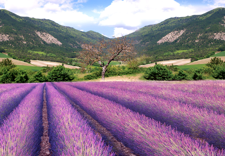 爱游戏平台app下载